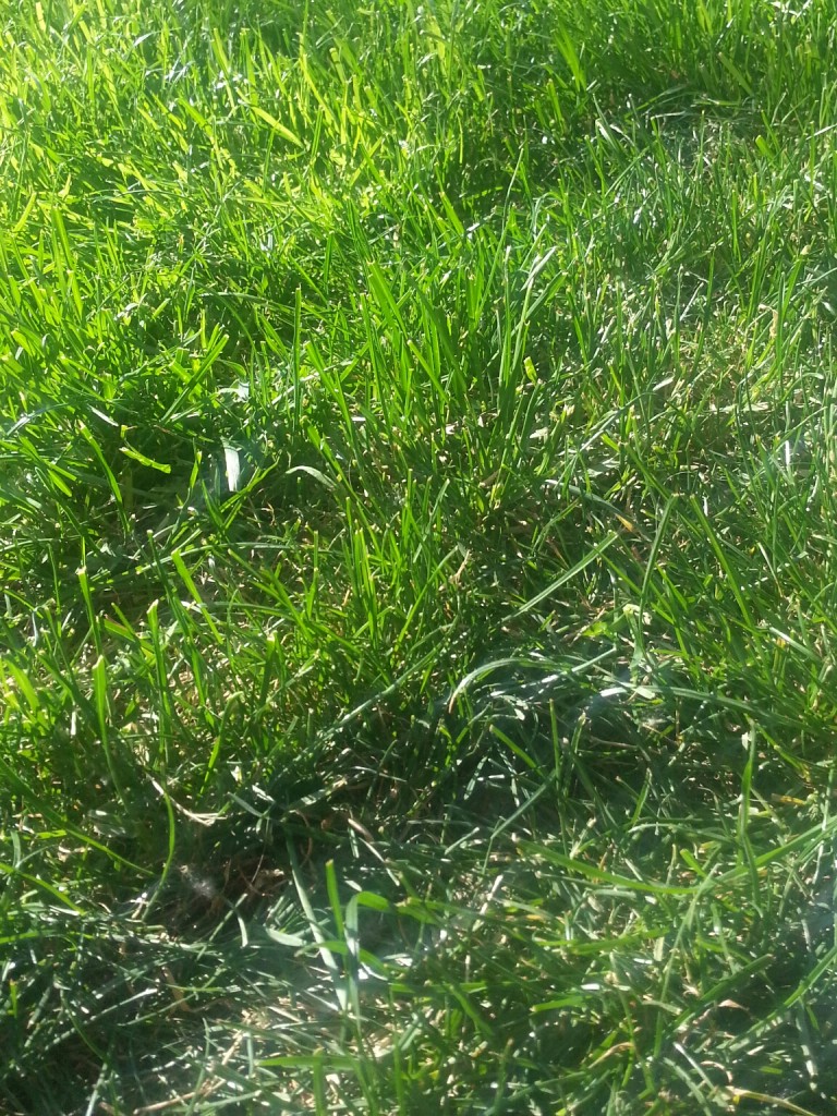 PicsArt_1398101281070